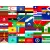 Flagi państw nieuznawanych i organizacji międzynarodowych