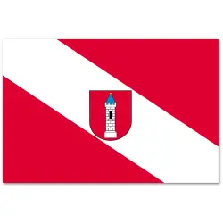 Wieluń Flaga