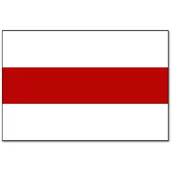 Wyszków Flaga