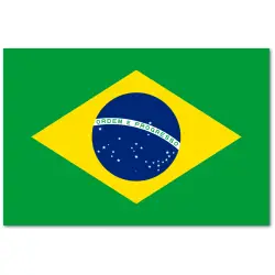 Brazylia chorągiewka 10x17cm