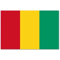Gwinea Flaga