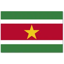 Surinam Flaga 90x150 cm