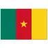 Kamerun Flaga